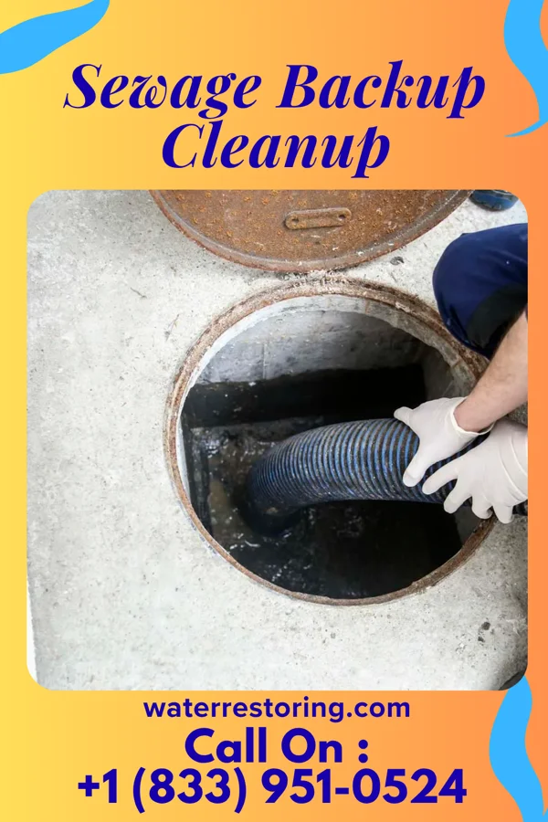 Sewage Backup Cleanup in Mooresville, IN
