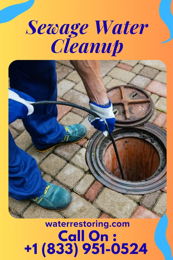 Sewage Water Cleanup in Mooresville, IN